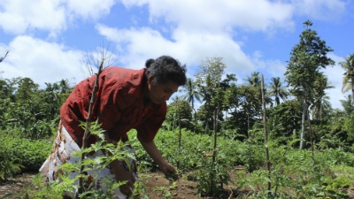 Photo: Laura Keenan/World Bank