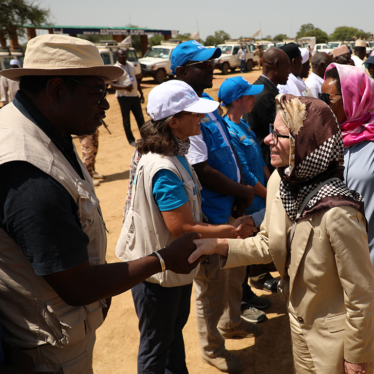 Survival and Resilience at the Chad-Sudan Border