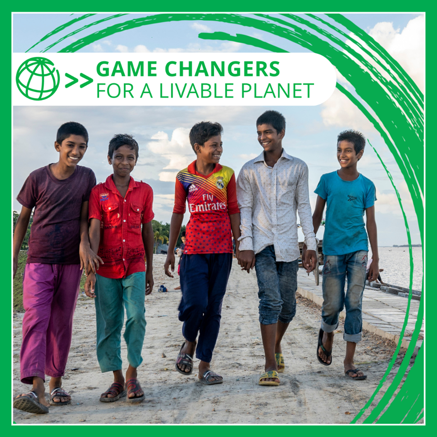 Game Changers for a Livable Planet square banner