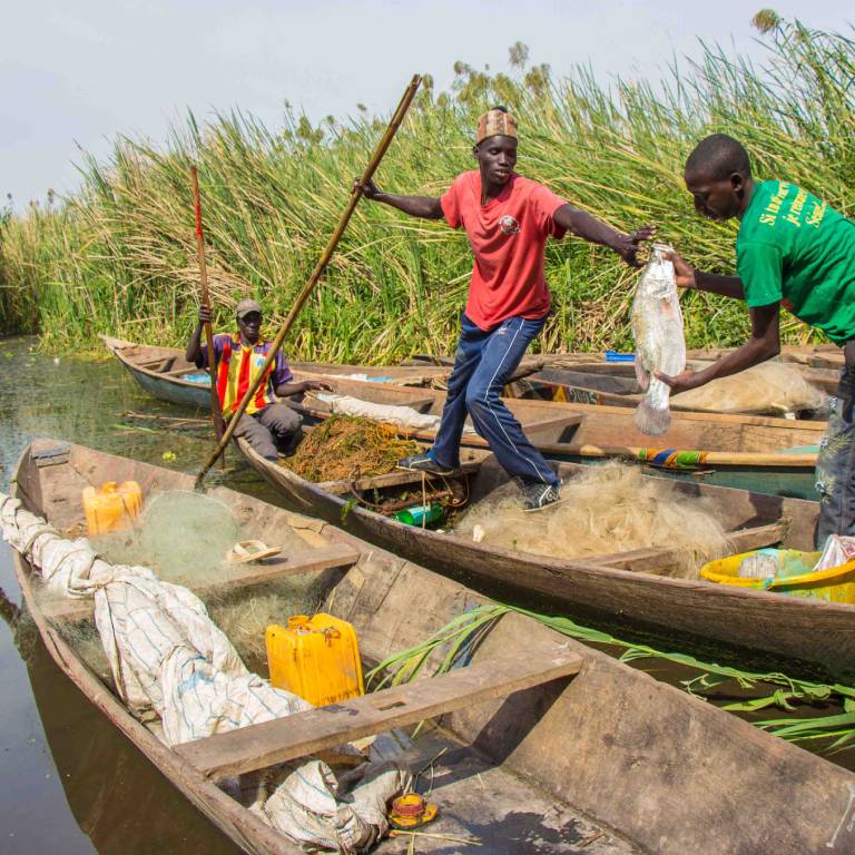 Fishermen on a tributary of the Senegal River, which runs through Guinea, Mali, Mauritania, and Senegal. Photo: Sarah Farhat