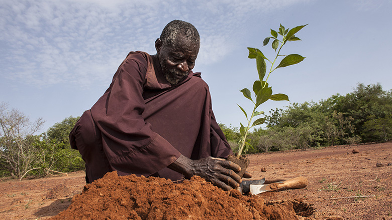 Greening the Sahel and Beyond