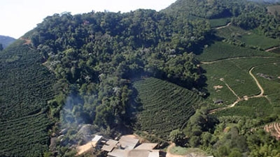 Land use and land cover in the Atlantic Forest biome, Brazil. Native