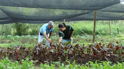 Sustainable Farming Practices for Small-Scale Farmers