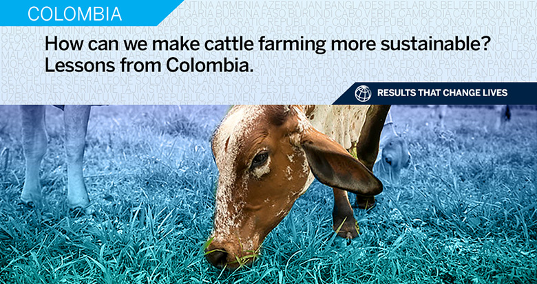 Sustainable Cattle Ranching Pays Off For Colombian Farmers