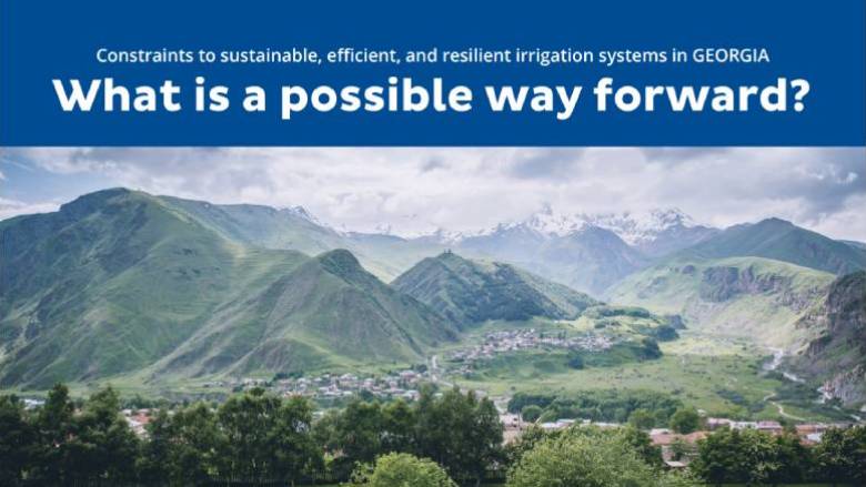 Infographic: Constraints to Sustainable, Efficient, and Resilient Irrigation Systems in Georgia