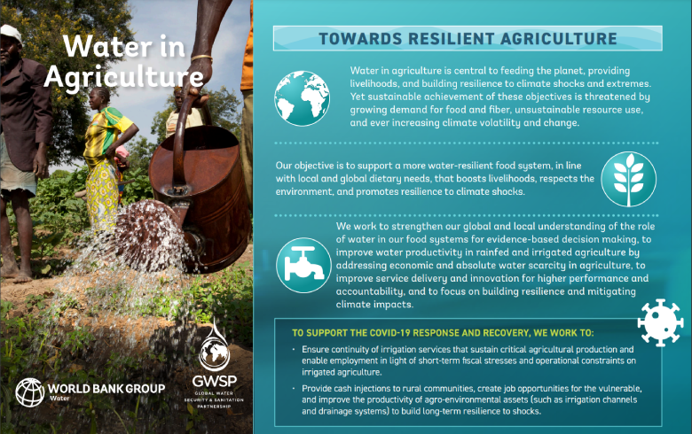 Local agricultural initiatives: sources of resilience in the