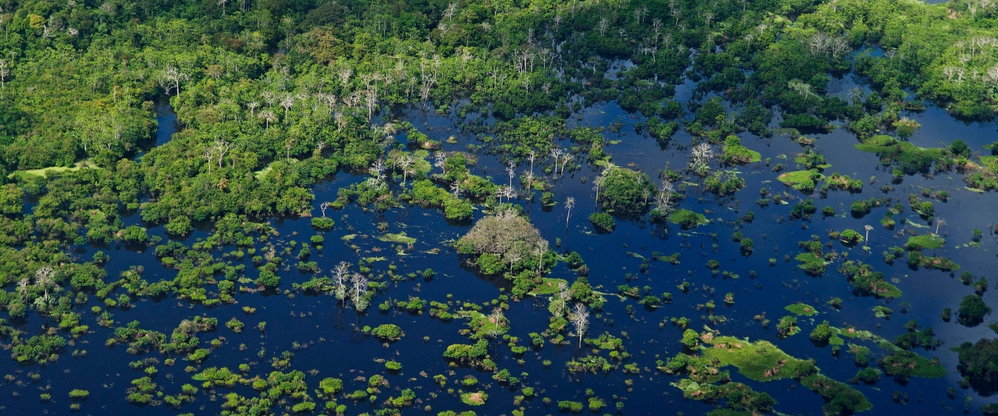 Amazon Sustainable Landscapes Program