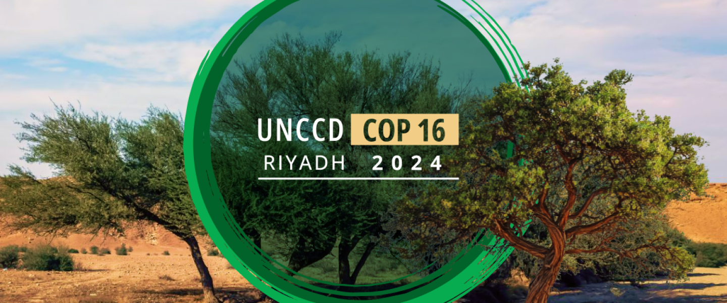 COP16 cover image Desertification COP