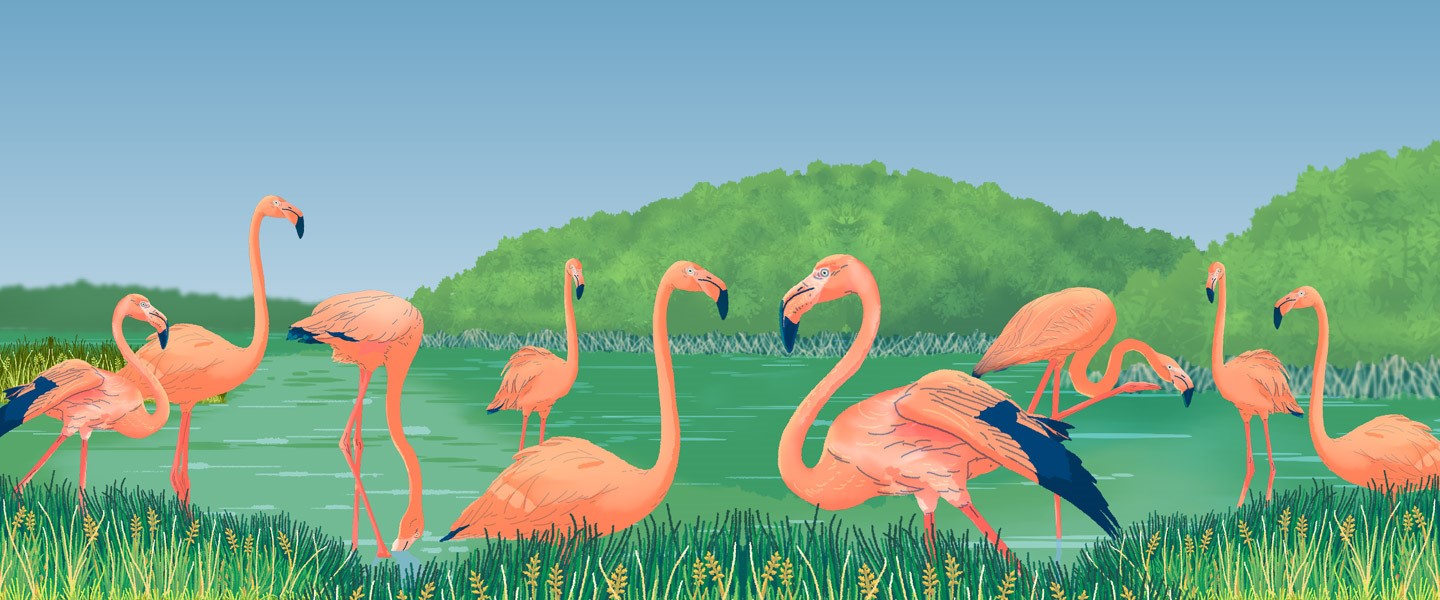 pink Flamingos green valley blue sky