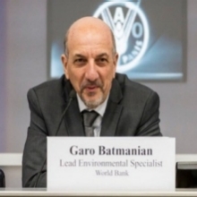 Garo Batmanian