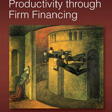 Report cover Unleashing Productivity through Firm Financing