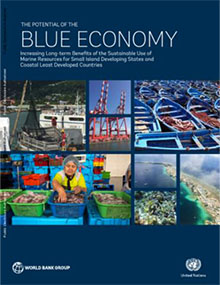 The Potential of the Blue Economy: Increasing Long-term Benefits of the Sustainable Use of Marine Resources for Small Island 
