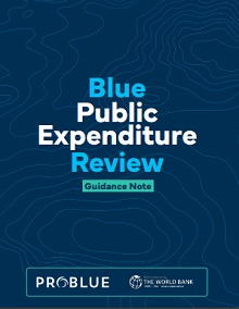 Blue Public Expenditure Review