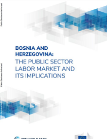 Bosnia and Herzegovina: Public Sector Labor Market