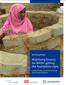 A cover of the mobilizing report