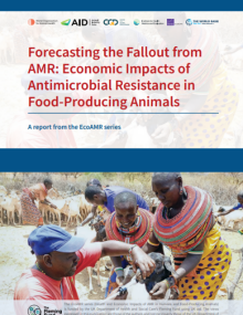 Forecasting the Fallout from AMR – Economic Impacts of Antimicrobial Resistance in Food-Producing Animals