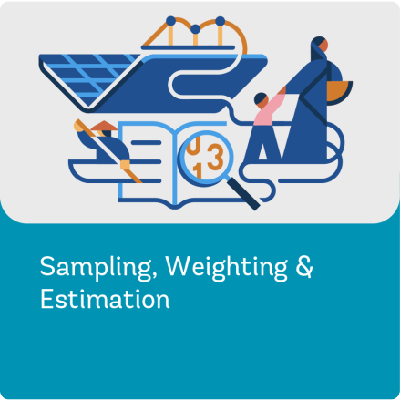 Illustration Representing Sampling, Weighting and Estimation - Survey Methods Workstream