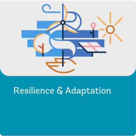 Illustration Representing Resilience and Adaptation - Survey Methods Workstream