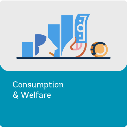 Illustration Representing Consumption and Welfare - Survey Methods Workstream 