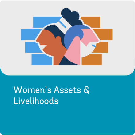 Illustration Representing Women's Assets and Livelihoods - Survey Methods Workstream