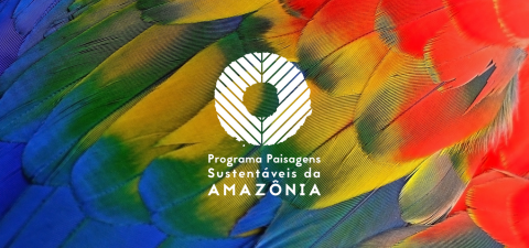 Conservation Team Brasil  Conservando a Amazônia em parceria com os  Povos Indígenas e Comunidades Tradicionais
