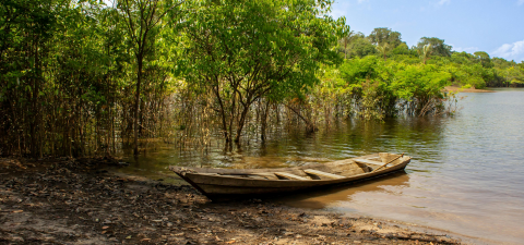 World Wetlands Day - Amazon Sustainable Landscapes Program