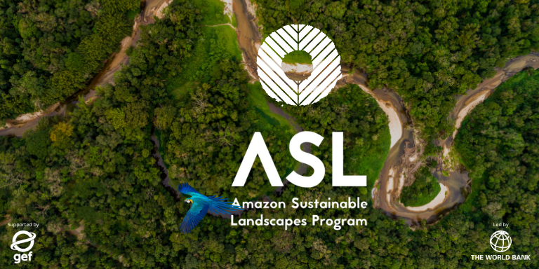 Amazon Sustainable Landscapes Program