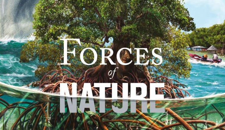 overflade sommerfugl Flagermus Forces of Nature: Coastal Resilience Benefits of Mangroves in Jamaica