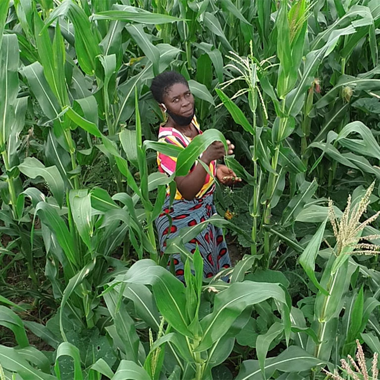 Zambia