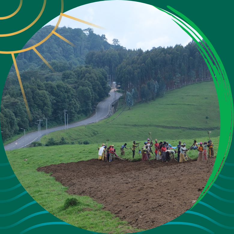 Rwanda landscape and agricultural activity