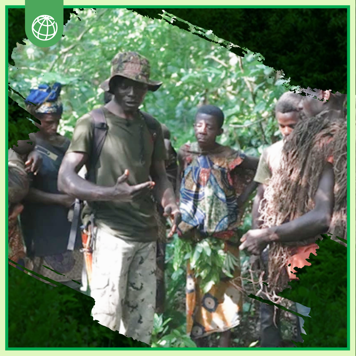 Preserving the Forest of the Congo Basin