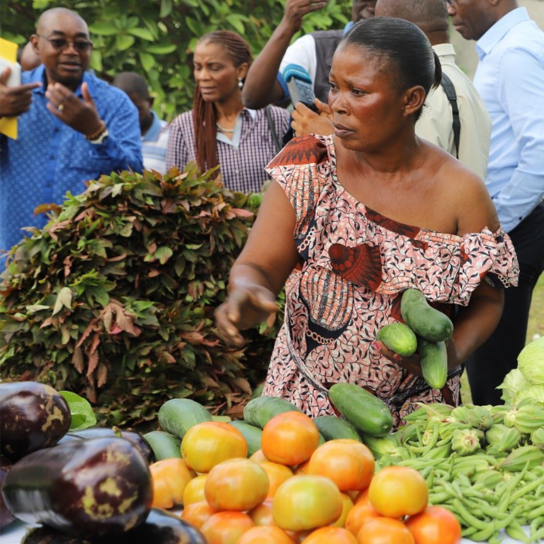 Grant Support for Smallholder Farmers: Boosting Agricultural Livelihoods in the Republic of Congo