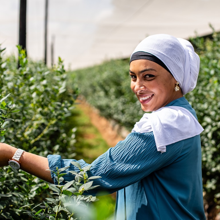 Woman wearing white headscarf tending to crops in farm.