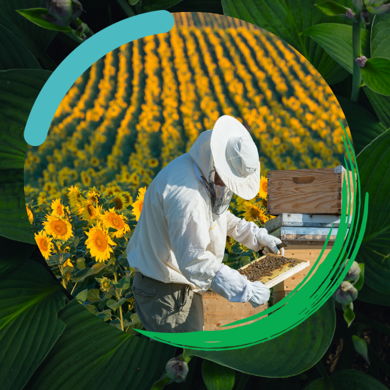 WB at COP16 branding beekeeper in the wildflowers field 