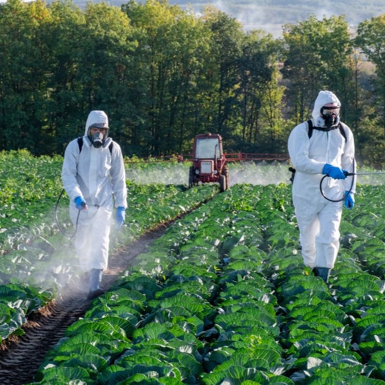 Men splaying pesticides on the farm field with a tractor behind them. Credit: NataliAlba, stock.adobe.com