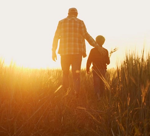 Man and boy walk in the sun lit field