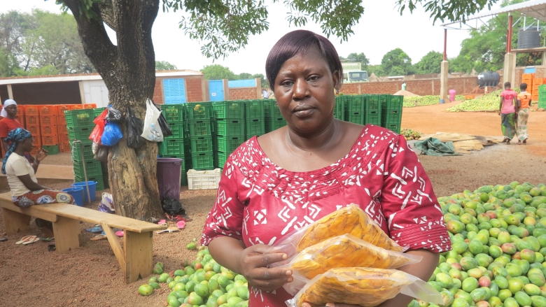 Increasing cotton yields in Burkina Faso  Global Agriculture and Food  Security Program