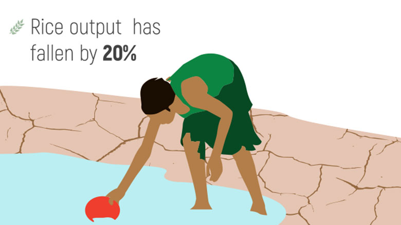 Coping With Shocks: Madagascar’s Economic Update