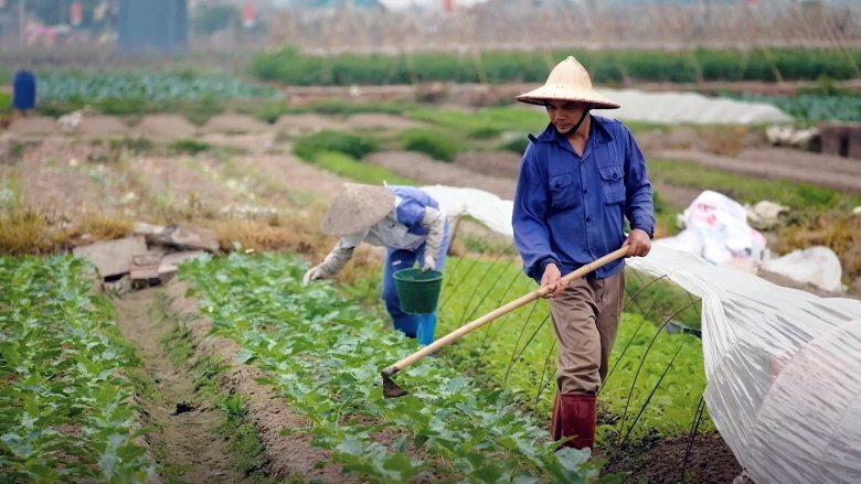 Harnessing Vietnam’s Agricultural Potential