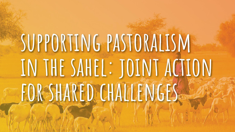 Supporting Pastorialism in the Sahel: Joint Action for Shared Challenges