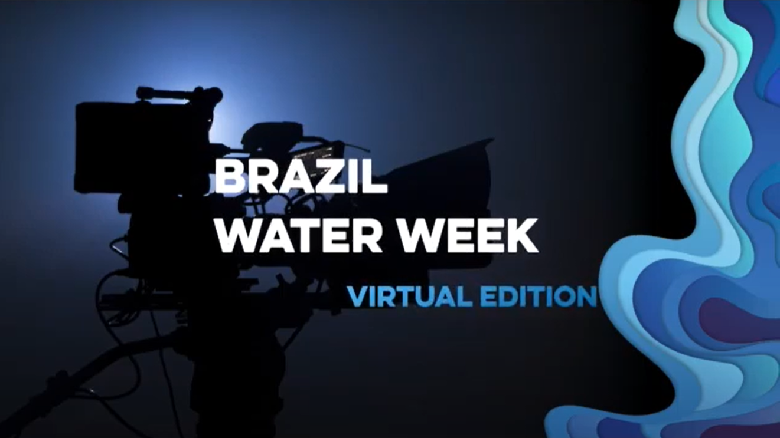 Sao Paulo, Brazil - 2030 Water Resources Group