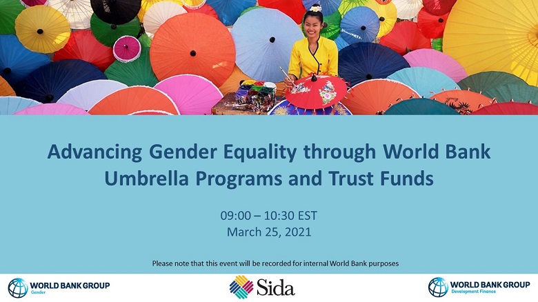 Advancing Gender Equality through Umbrella Programs