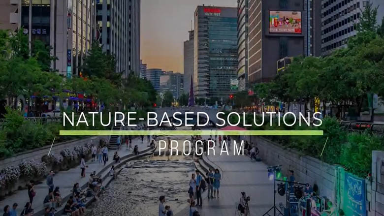 GFDRR's Nature Based Solutions Program