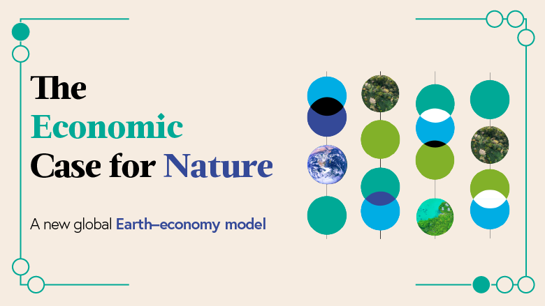 The Economic Case for Nature A Global Earth-economy model to ...