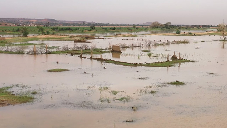 Niger Finds a Solution to Populations Dependent on Agriculture