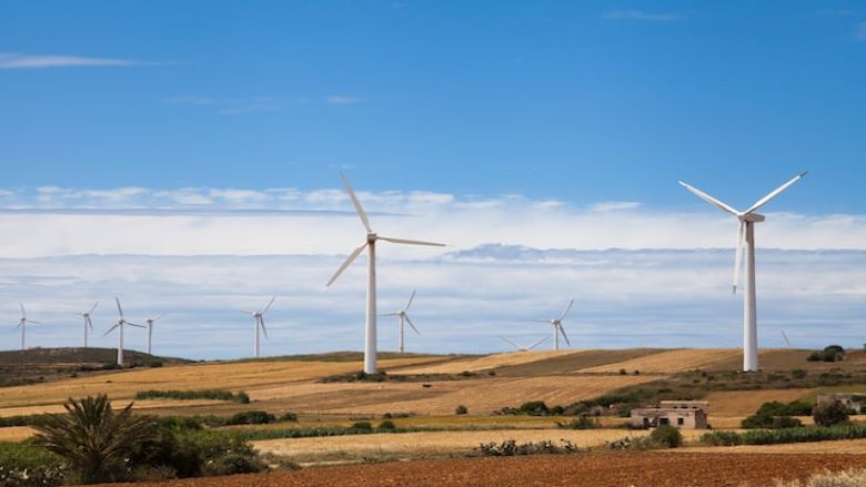 Wind farm in rural Tunisia