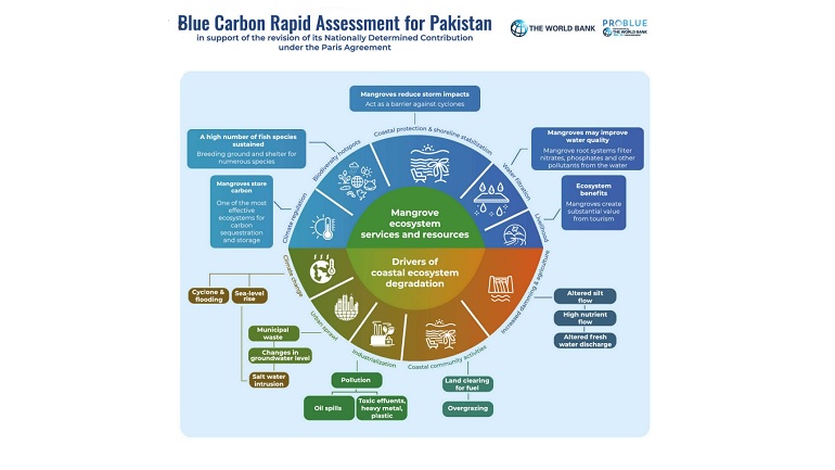 Blue Carbon Rapid Assessment for Pakistan