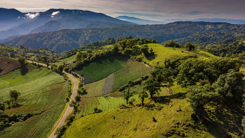 how-costa-rica-is-investing-in-a-landscape-approach-to-build-a