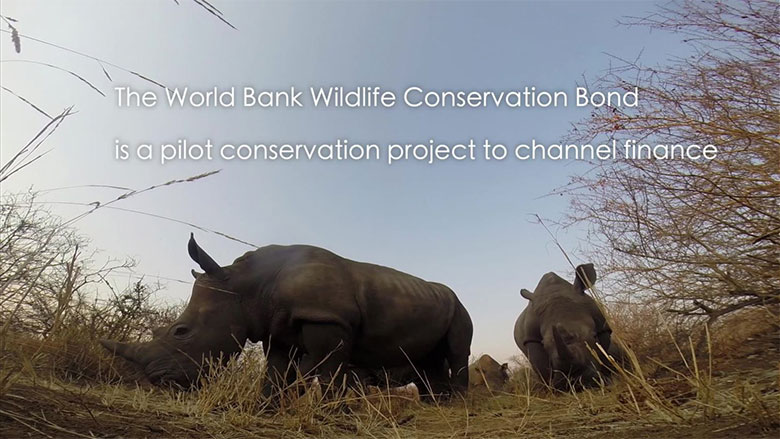 Saving Rhinos and Livelihoods in South Africa