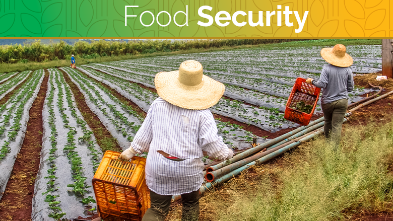 Food Security Rising Food Insecurity In 2023